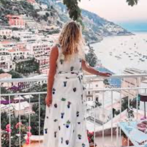 Sezane Lambertine Skirt - Sézane X Momonì Jardini - Size 6 - Picture 3 of 9